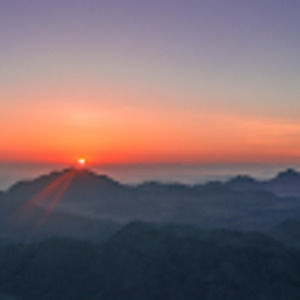 Meet your Posher, Will